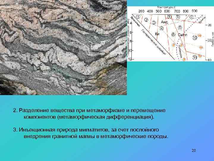 2. Разделение вещества при метаморфизме и перемещение компонентов (метаморфическая дифференциация). 3. Инъекционная природа мигматитов,