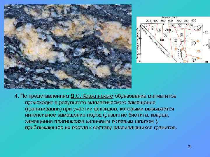 4. По представлениям Д. С. Коржинского образование мигматитов происходит в результате магматического замещения (гранитизации)