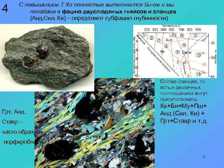 4 С повышением Т Хл полностью вытесняется Би-ом и мы попадаем в фацию двуслюдяных