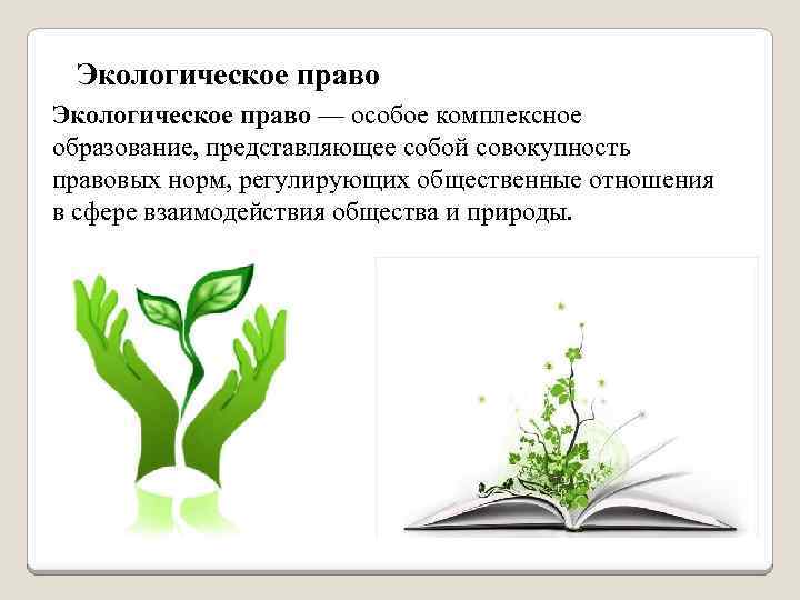 Экологическое право — особое комплексное образование, представляющее собой совокупность правовых норм, регулирующих общественные отношения