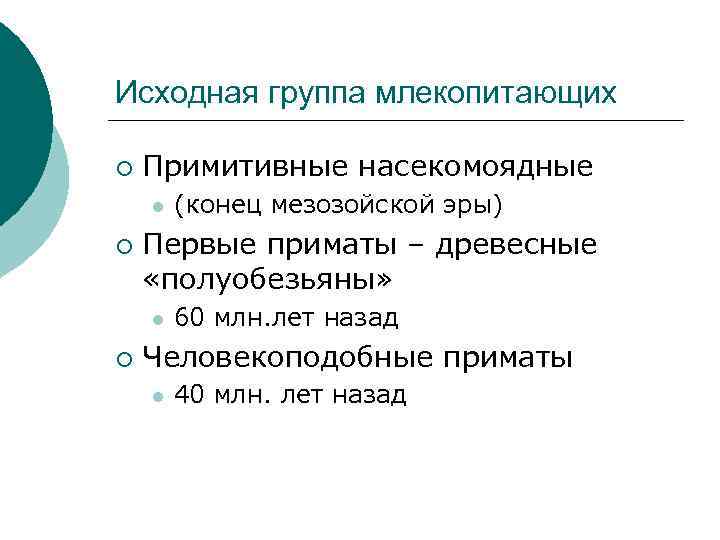 Исходная группа млекопитающих ¡ Примитивные насекомоядные l ¡ Первые приматы – древесные «полуобезьяны» l