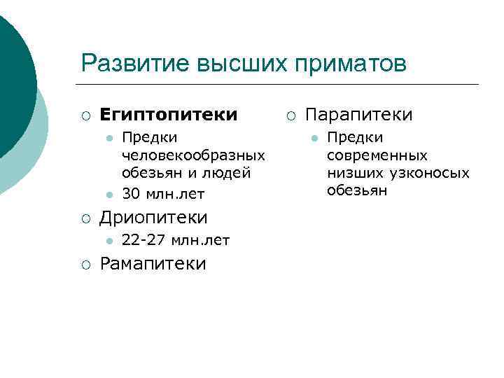 Развитие высших приматов ¡ Египтопитеки l l ¡ Дриопитеки l ¡ Предки человекообразных обезьян