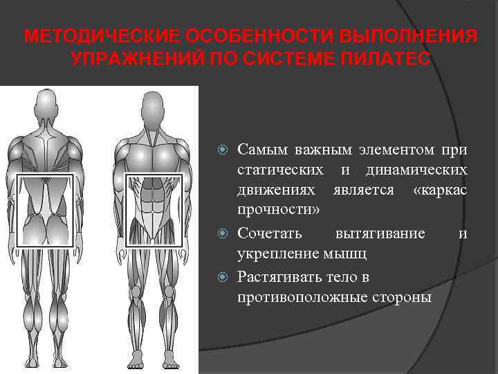 МЕТОДИЧЕСКИЕ ОСОБЕННОСТИ ВЫПОЛНЕНИЯ УПРАЖНЕНИЙ ПО СИСТЕМЕ ПИЛАТЕС Самым важным элементом при статических и динамических