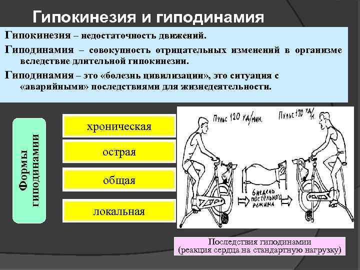 Гипокинезия и гиподинамия Гипокинезия – недостаточность движений. Гиподинамия – совокупность отрицательных изменений в организме