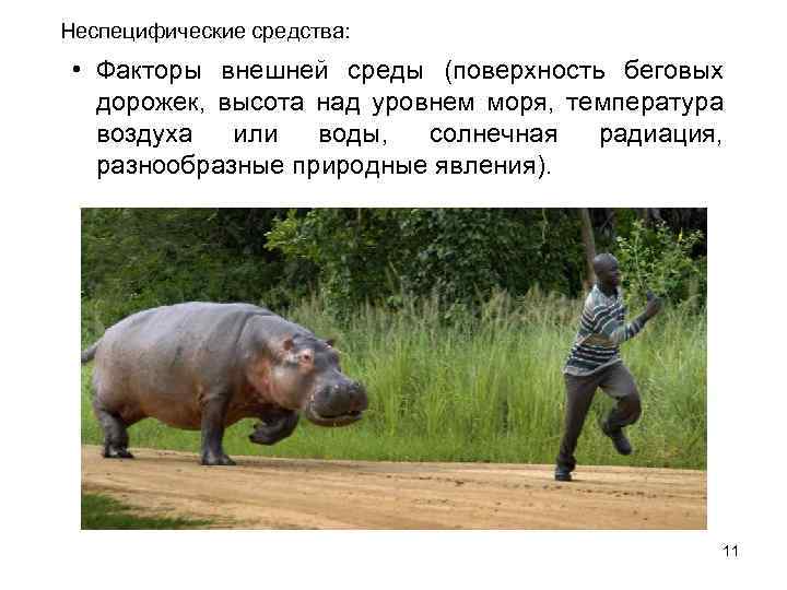 Неспецифические средства: • Факторы внешней среды (поверхность беговых дорожек, высота над уровнем моря, температура