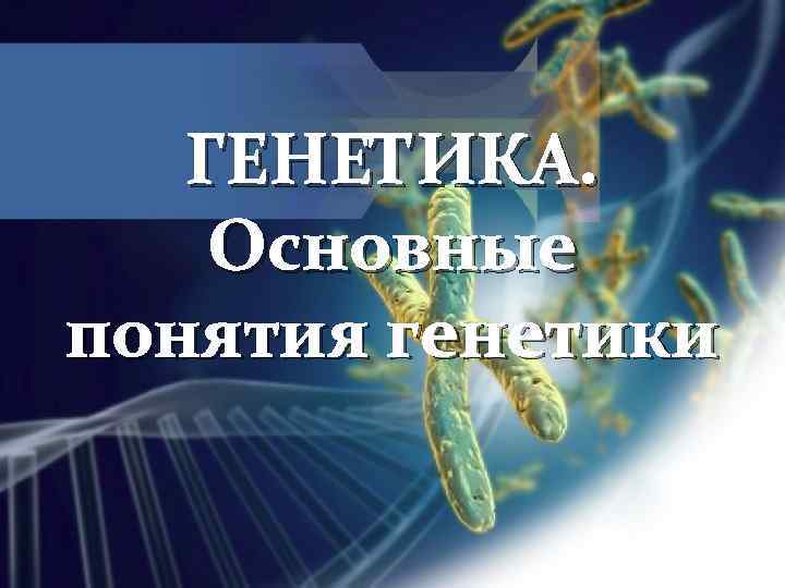 ГЕНЕТИКА. Основные понятия генетики 