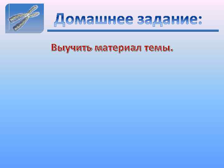 Выучить материал темы. 