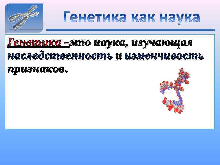 Генетика –это наука, изучающая наследственность и изменчивость признаков. 