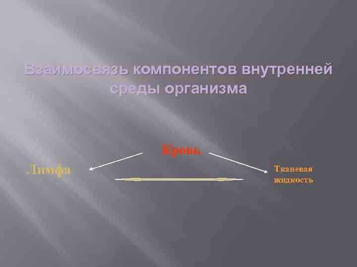 Взаимосвязь компонентов внутренней среды организма Кровь Лимфа Тканевая жидкость 