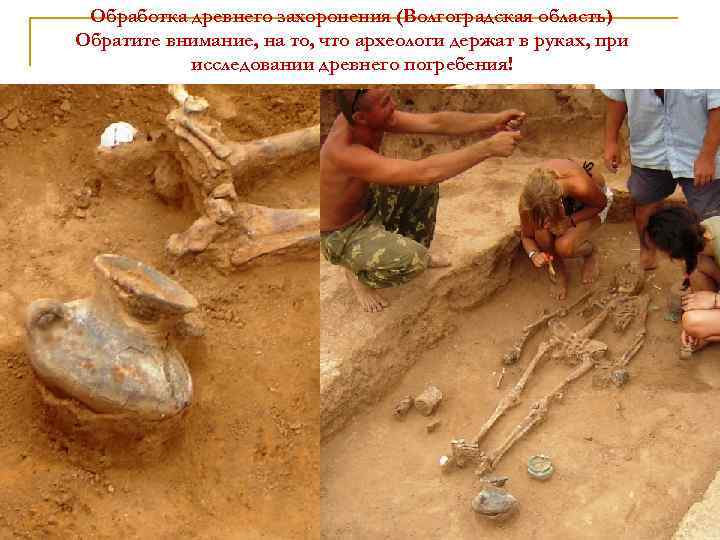 Обработка древнего захоронения (Волгоградская область) Обратите внимание, на то, что археологи держат в руках,