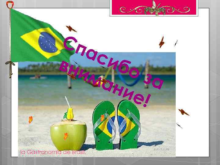 Сп ас вни ибо ма за ние ! la Gastronomía de Brasil. 