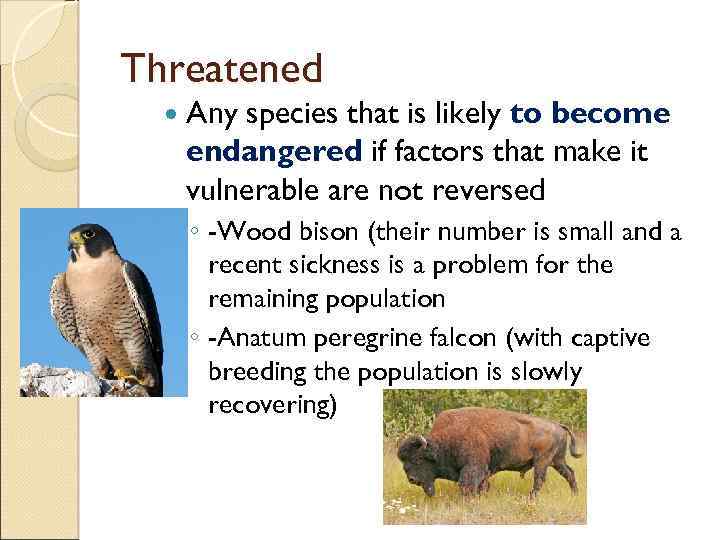 Threatened Any species that is likely to become endangered if factors that make it