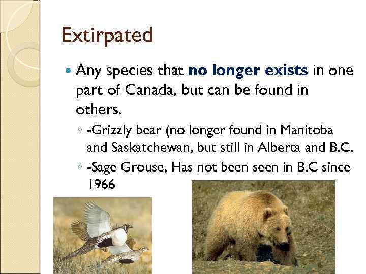 Extirpated Any species that no longer exists in one part of Canada, but can