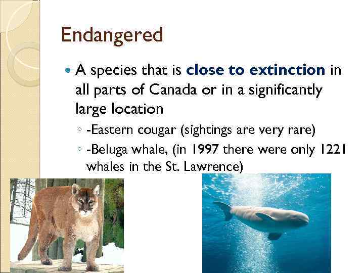 Endangered A species that is close to extinction in all parts of Canada or