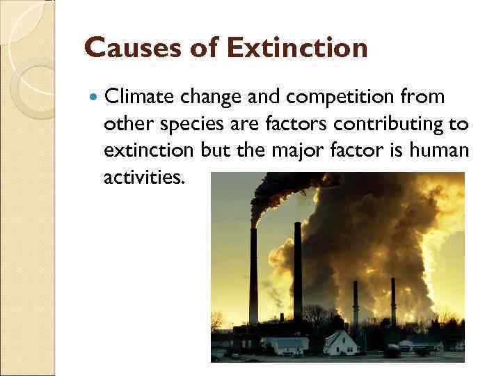 Causes of Extinction Climate change and competition from other species are factors contributing to