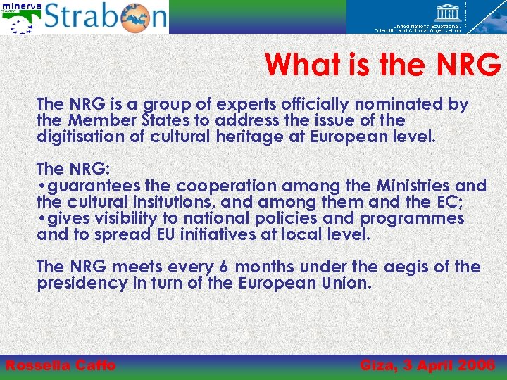 What is the NRG The NRG is a group of experts officially nominated by