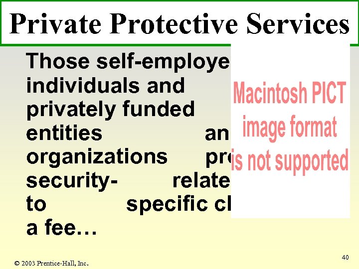 Private Protective Services Those self-employed individuals and privately funded business entities and organizations providing