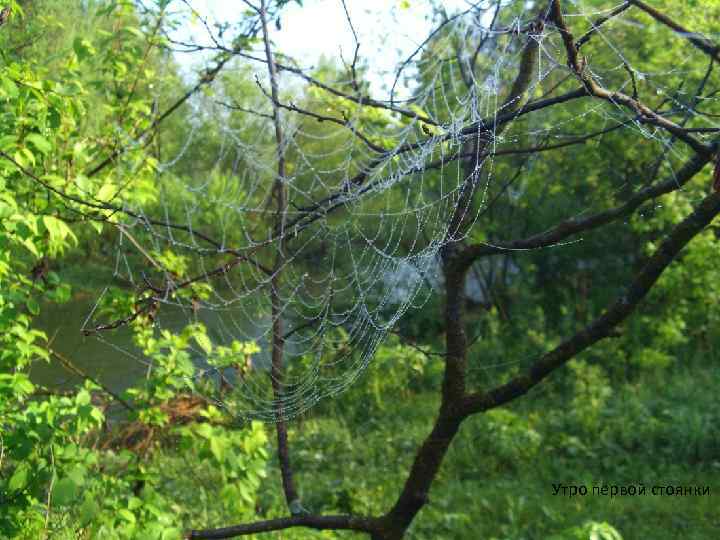 Утро первой стоянки 