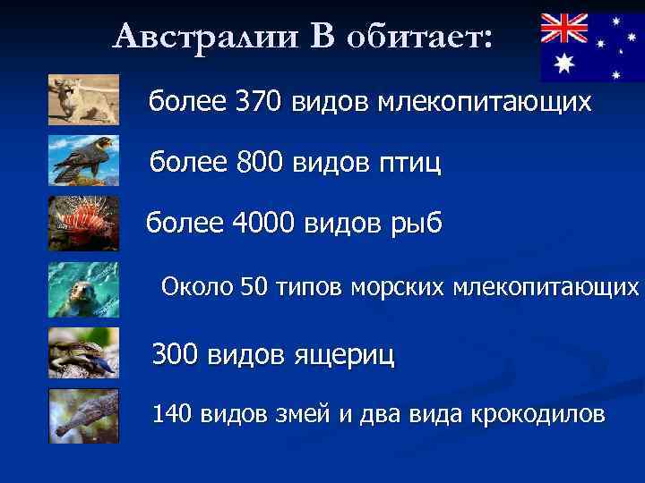 Австралии В обитает: более 370 видов млекопитающих более 800 видов птиц более 4000 видов