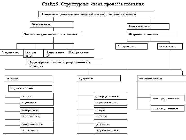 Слайд 9. Структурная схема процесса познания Познание – движение человеческой мысли от незнания к