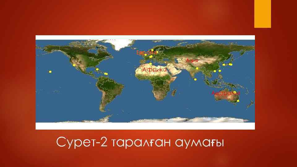Европа Азия Африка Австралия Сурет-2 таралған аумағы 