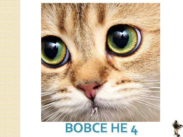 ВОВСЕ НЕ 4 