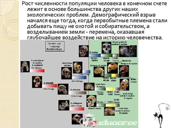 Рост численности популяции человека в конечном счете лежит в основе большинства других наших экологических