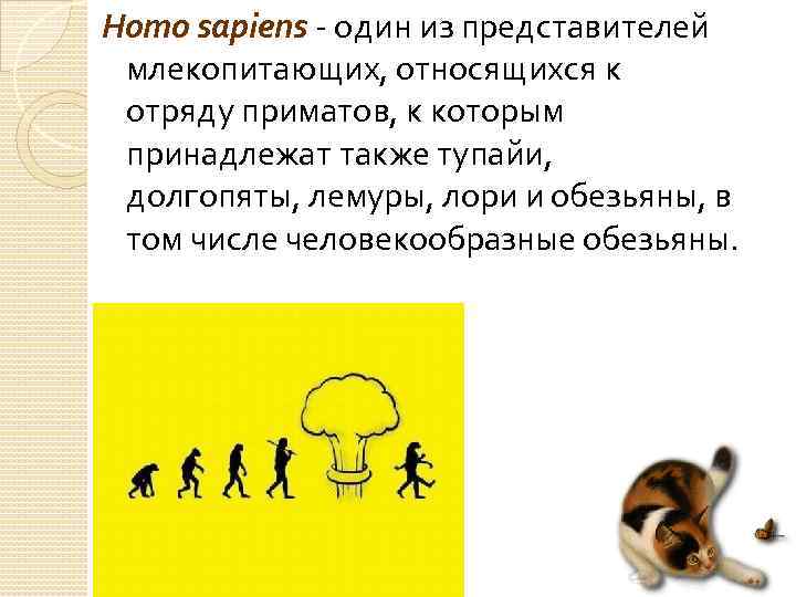 Homo sapiens один из представителей млекопитающих, относящихся к отряду приматов, к которым принадлежат также