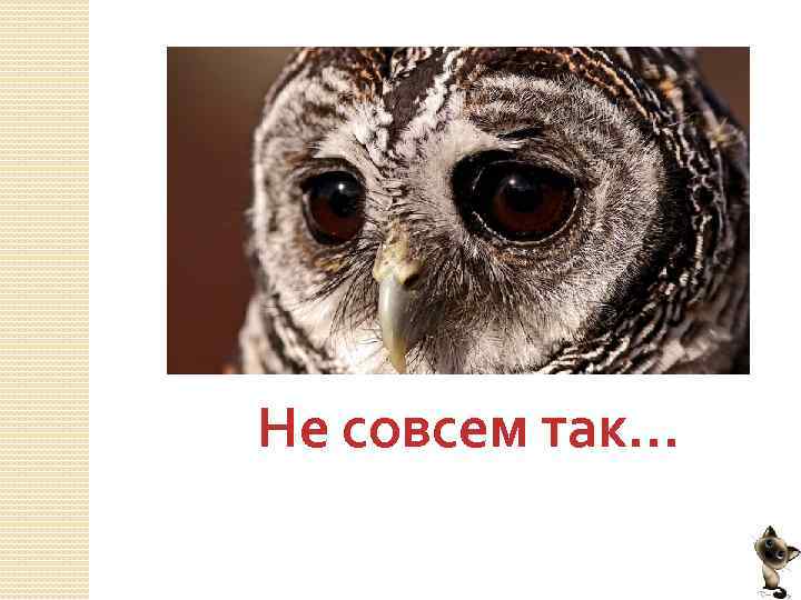 Не совсем так… 