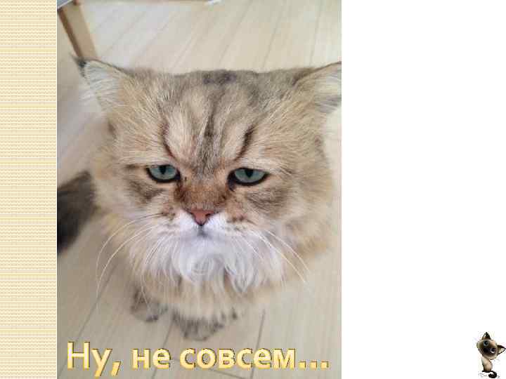 Ну, не совсем… 