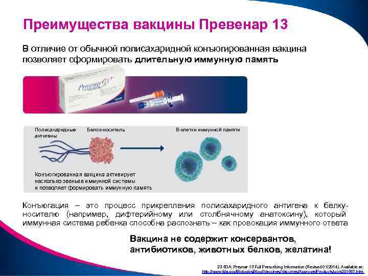 Преимущества вакцины Превенар 13 В отличие от обычной полисахаридной конъюгированная вакцина позволяет сформировать длительную