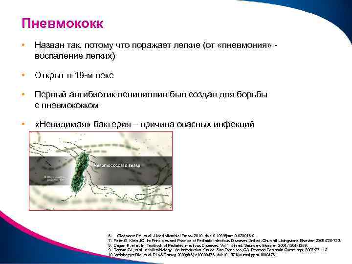 Пневмококк • Назван так, потому что поражает легкие (от «пневмония» - воспаление легких) •