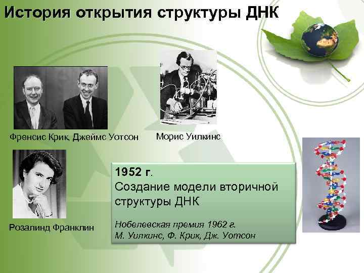 История открытия структуры ДНК Френсис Крик, Джеймс Уотсон Морис Уилкинс 1952 г. г Создание