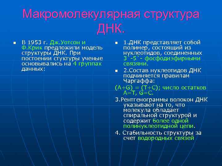 Макромолекулярная структура ДНК. n В 1953 г. Дж. Уотсон и Ф. Крик предложили модель