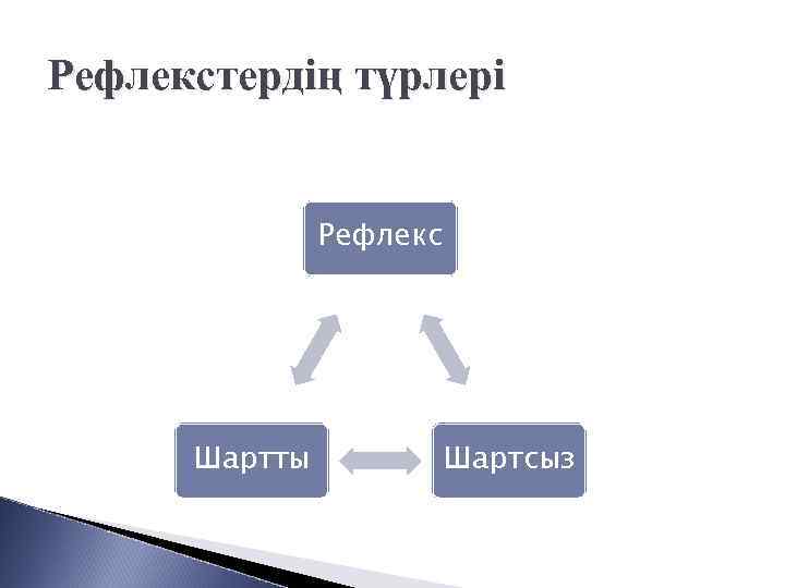 Рефлекстердің түрлері Рефлекс Шартты Шартсыз 