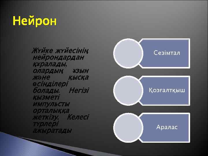 Нейрон Жүйке жүйесінің нейрондардан құралады, олардың ұзын және қысқа өсінділері болады. Негізі қызметі импульсты