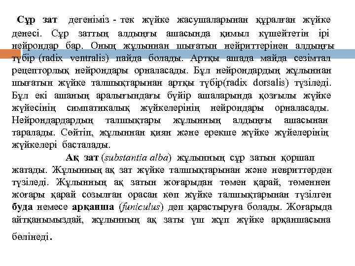 Сұр зат дегеніміз - тек жүйке жасушаларынан құралған жүйке денесі. Сұр заттың алдыңғы ашасында