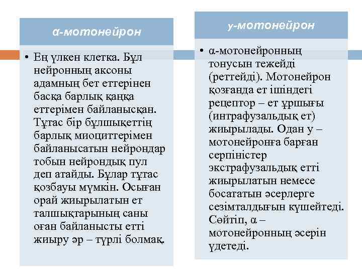 α-мотонейрон • Ең үлкен клетка. Бұл нейронның аксоны адамның бет еттерінен басқа барлық қаңқа