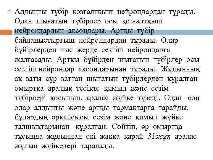  Алдыңғы түбір қозғалтқыш нейрондардан тұрады. Одан шығатын түбірлер осы қозғалтқыш нейрондардың аксондары. Артқы