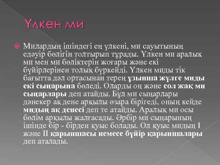 Үлкен ми Милардың ішіндегі ең үлкені, ми сауытының едәуір бөлігін толтырып тұрады. Үлкен ми