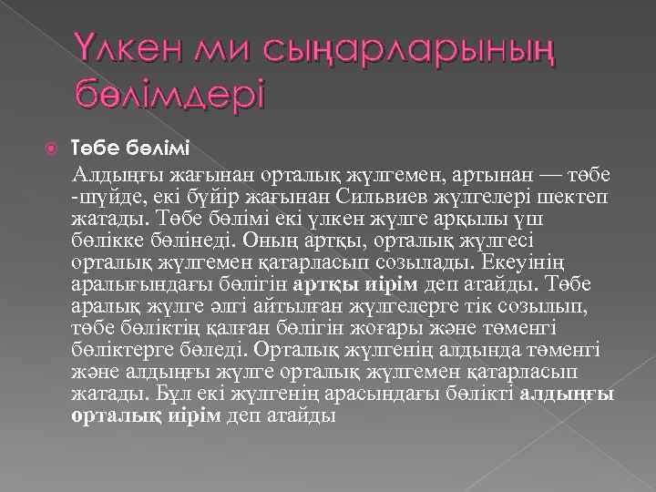 Үлкен ми сыңарларының бөлімдері Төбе бөлімі Алдыңғы жағынан орталық жүлгемен, артынан — төбе -шүйде,