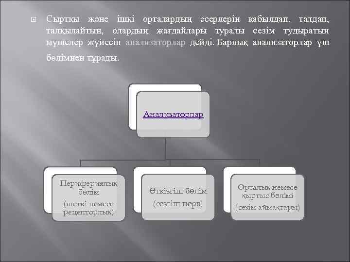  Сыртқы және ішкі орталардың әсерлерін қабылдап, талқылайтын, олардың жағдайлары туралы сезім тудыратын мүшелер