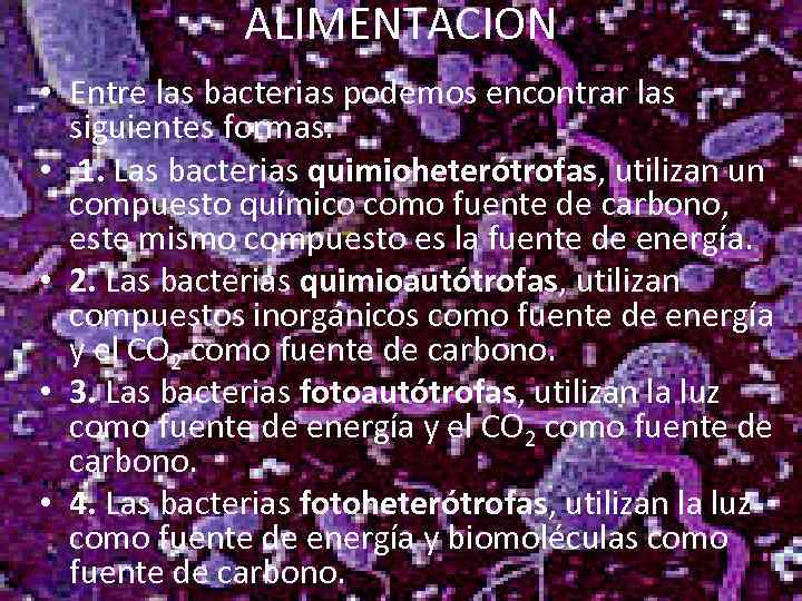 ALIMENTACION • Entre las bacterias podemos encontrar las siguientes formas: • 1. Las bacterias