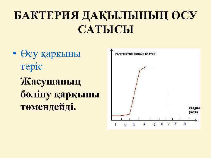 БАКТЕРИЯ ДАҚЫЛЫНЫҢ ӨСУ САТЫСЫ • Өсу қарқыны теріс Жасушаның бөліну қарқыны төмендейді. 