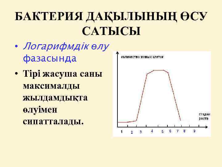 БАКТЕРИЯ ДАҚЫЛЫНЫҢ ӨСУ САТЫСЫ • Логарифмдік өлу фазасында • Тірі жасуша саны максималды жылдамдықта