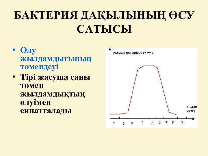БАКТЕРИЯ ДАҚЫЛЫНЫҢ ӨСУ САТЫСЫ • Өлу жылдамдығының төмендеуі • Тірі жасуша саны төмен жылдамдықтың