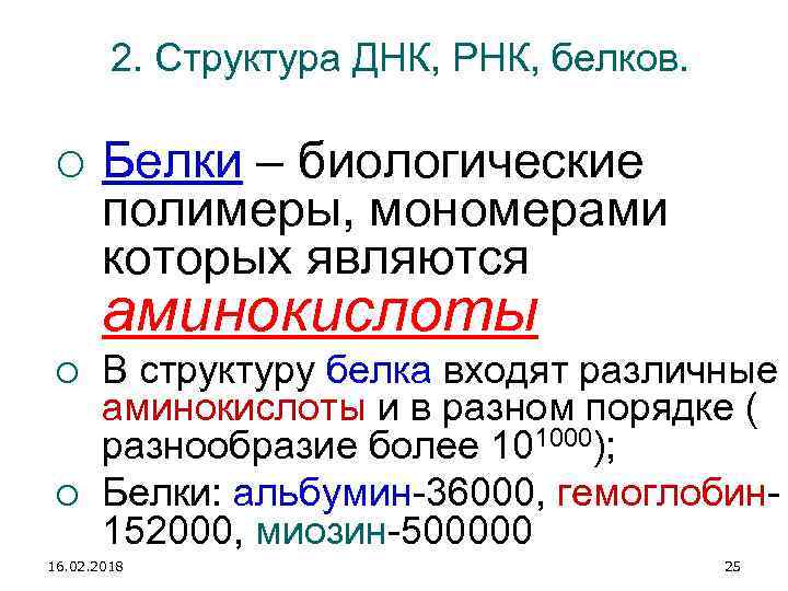 2. Структура ДНК, РНК, белков. Белки – биологические полимеры, мономерами которых являются аминокислоты В