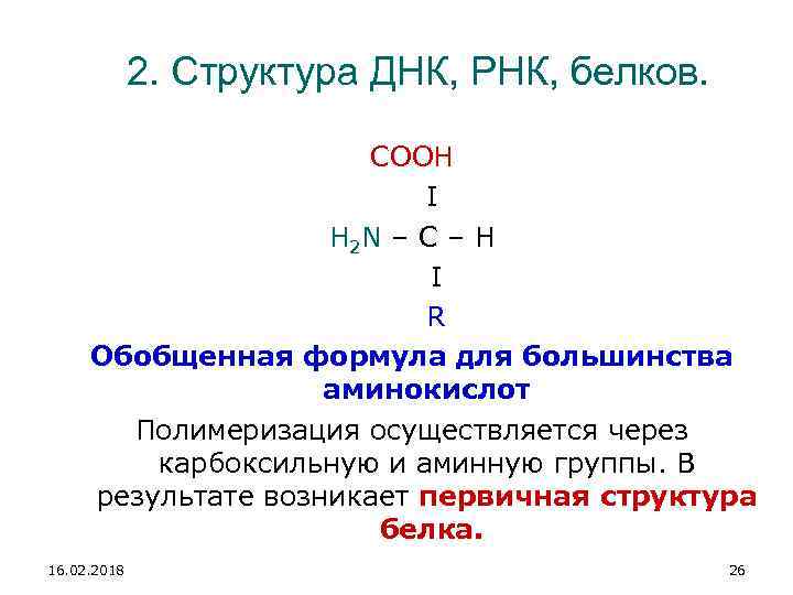 2. Структура ДНК, РНК, белков. COOH Ι H 2 N – C – H