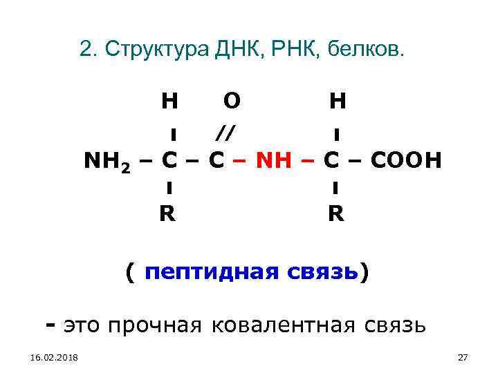 2. Структура ДНК, РНК, белков. H O H ı ⁄⁄ ı NH 2 –