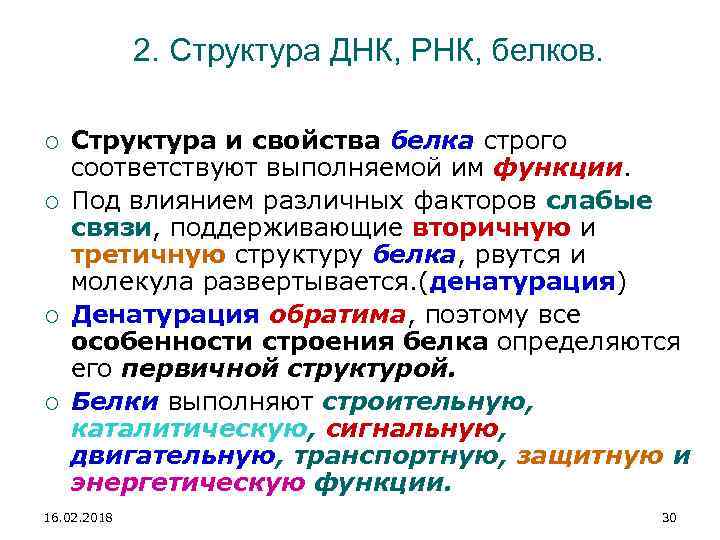 2. Структура ДНК, РНК, белков. Структура и свойства белка строго соответствуют выполняемой им функции.